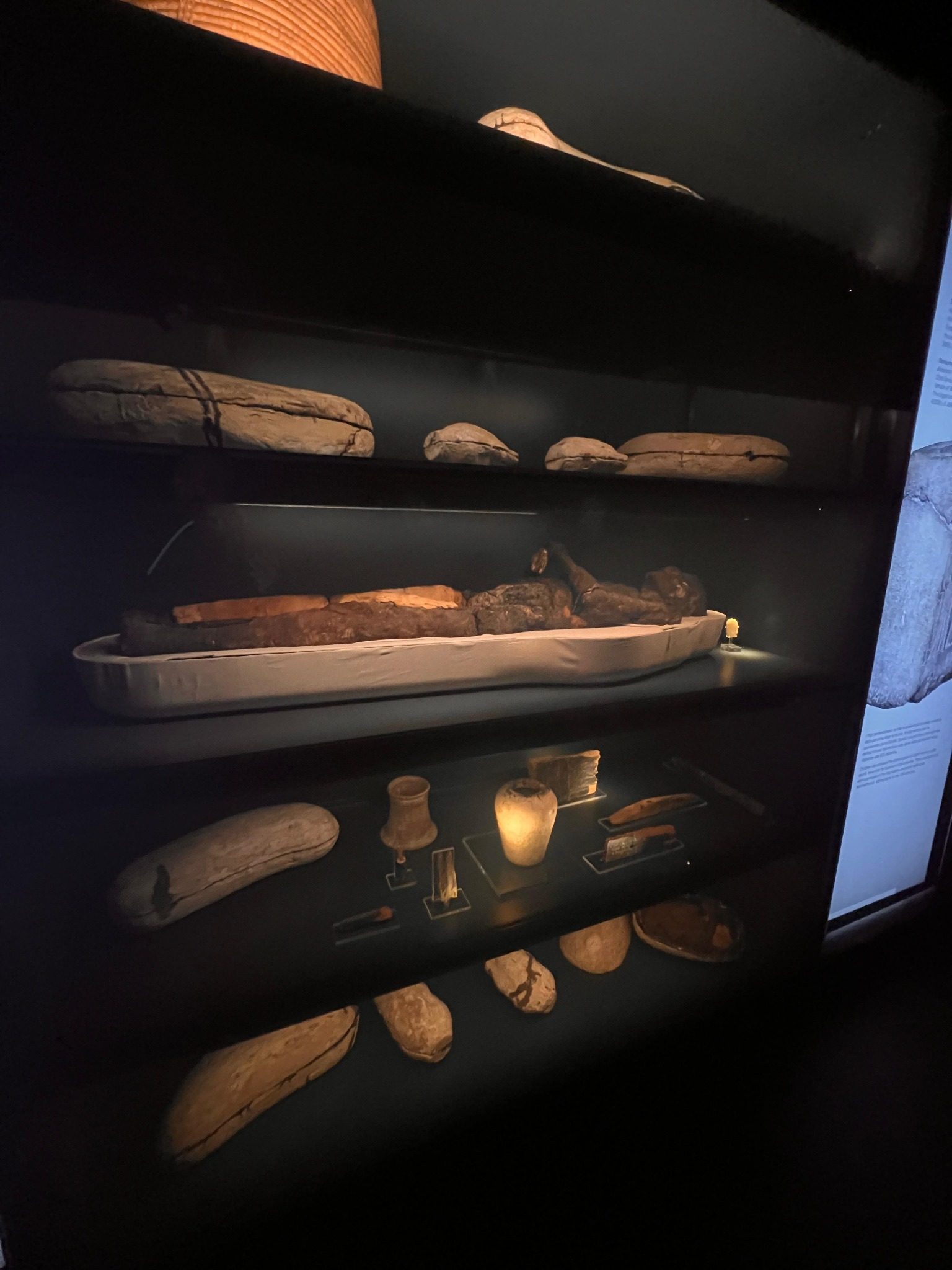 Mummie e reperti esposti in una vetrina del Museo Egizio